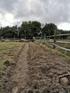 Préparation du sol pour créer une haie fourragère en bordure d'un paddock